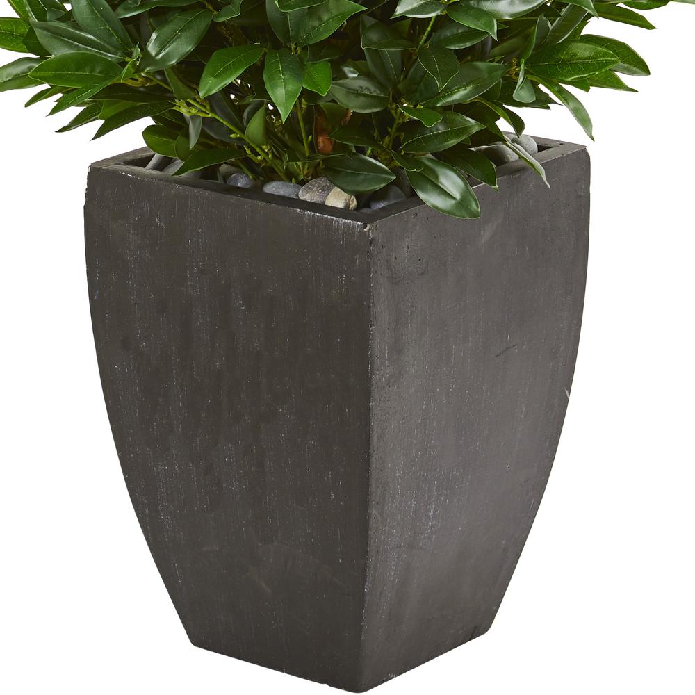 56in. Bay Leaf Cone Topiary Artificial Tree UV Resistant in Black Planter (Indoor/Outdoor). Picture 2