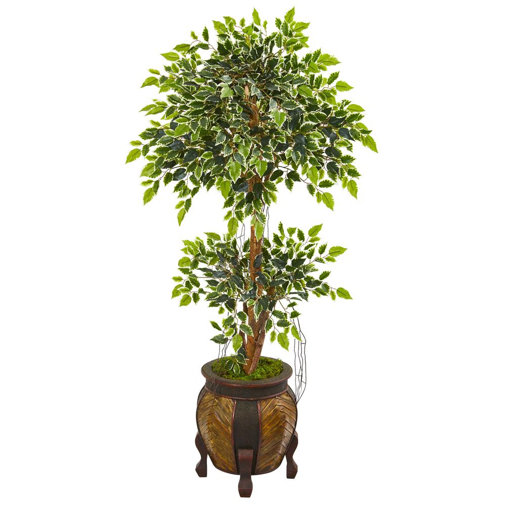 59in. Variegated Ficus Artificial Tree in Decorative Planter. Picture 1