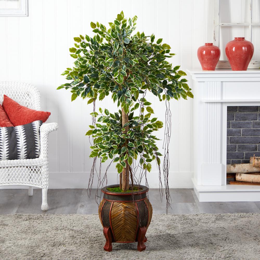 59in. Variegated Ficus Artificial Tree in Decorative Planter. Picture 2