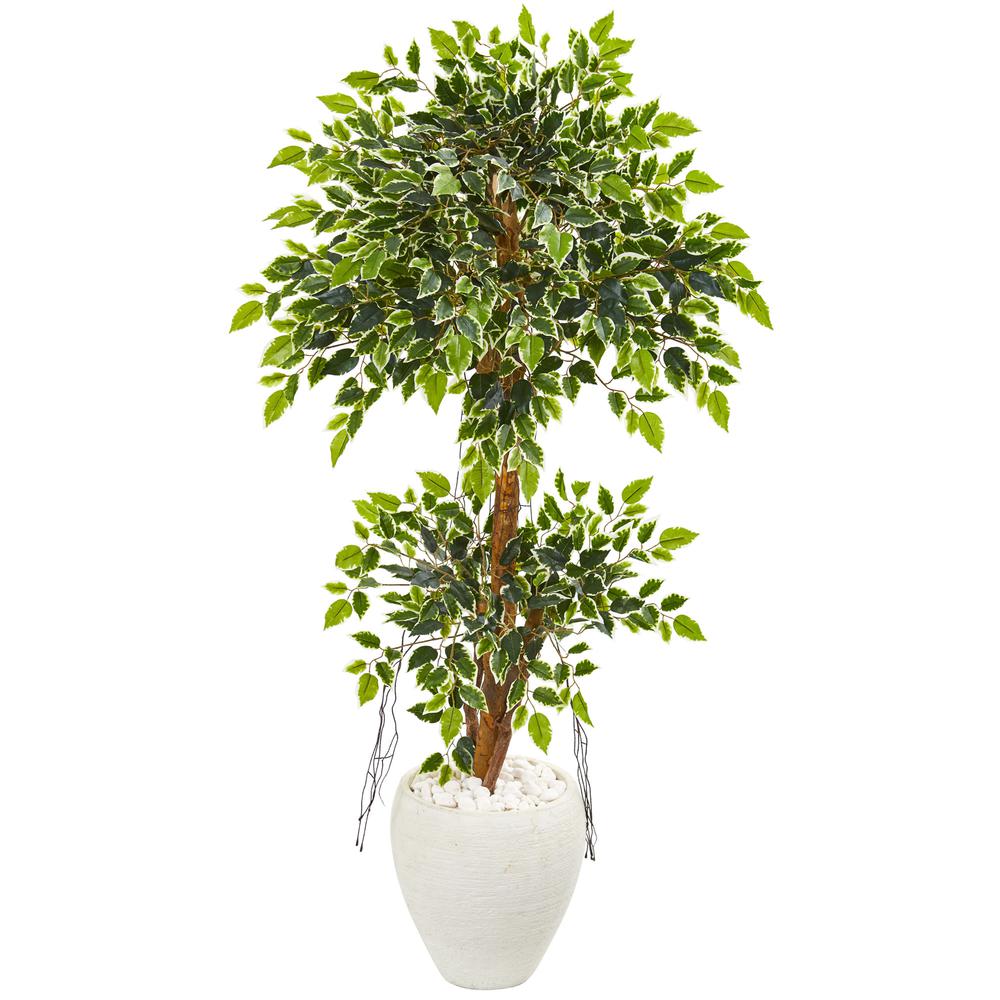 56in. Variegated Ficus Artificial Tree in White Planter. Picture 1