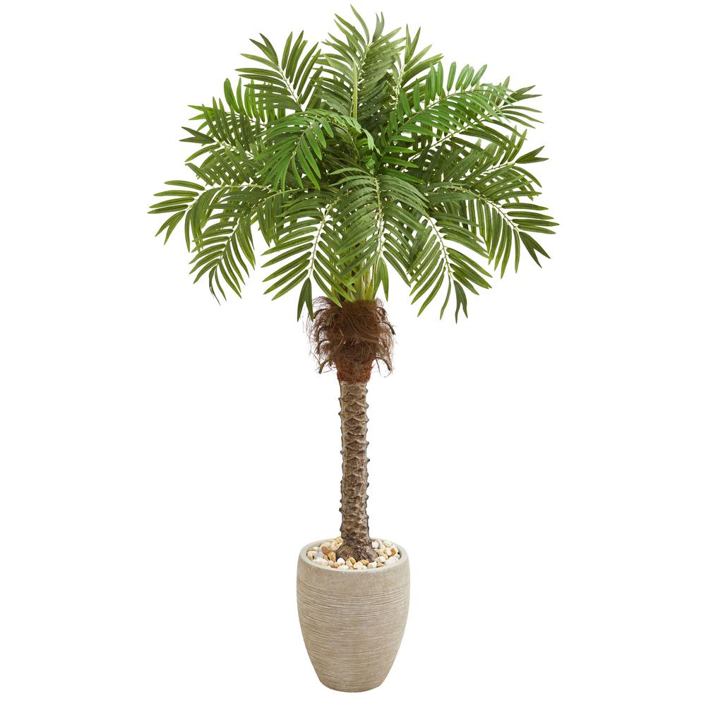63in. Robellini Palm Artificial Tree in Sandstone Planter. Picture 1