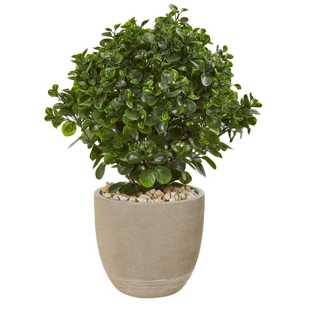 30in. Peperomia Artificial Plant in Sand Stone Planter UV Resistant (Indoor/Outdoor). Picture 1