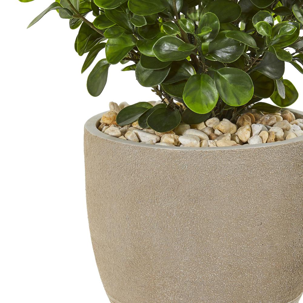 30in. Peperomia Artificial Plant in Sand Stone Planter UV Resistant (Indoor/Outdoor). Picture 3