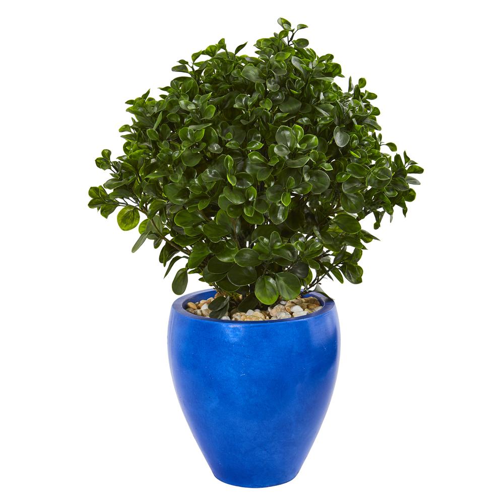 32in. Peperomia Artificial Plant in Blue Planter UV Resistant (Indoor/Outdoor). Picture 1