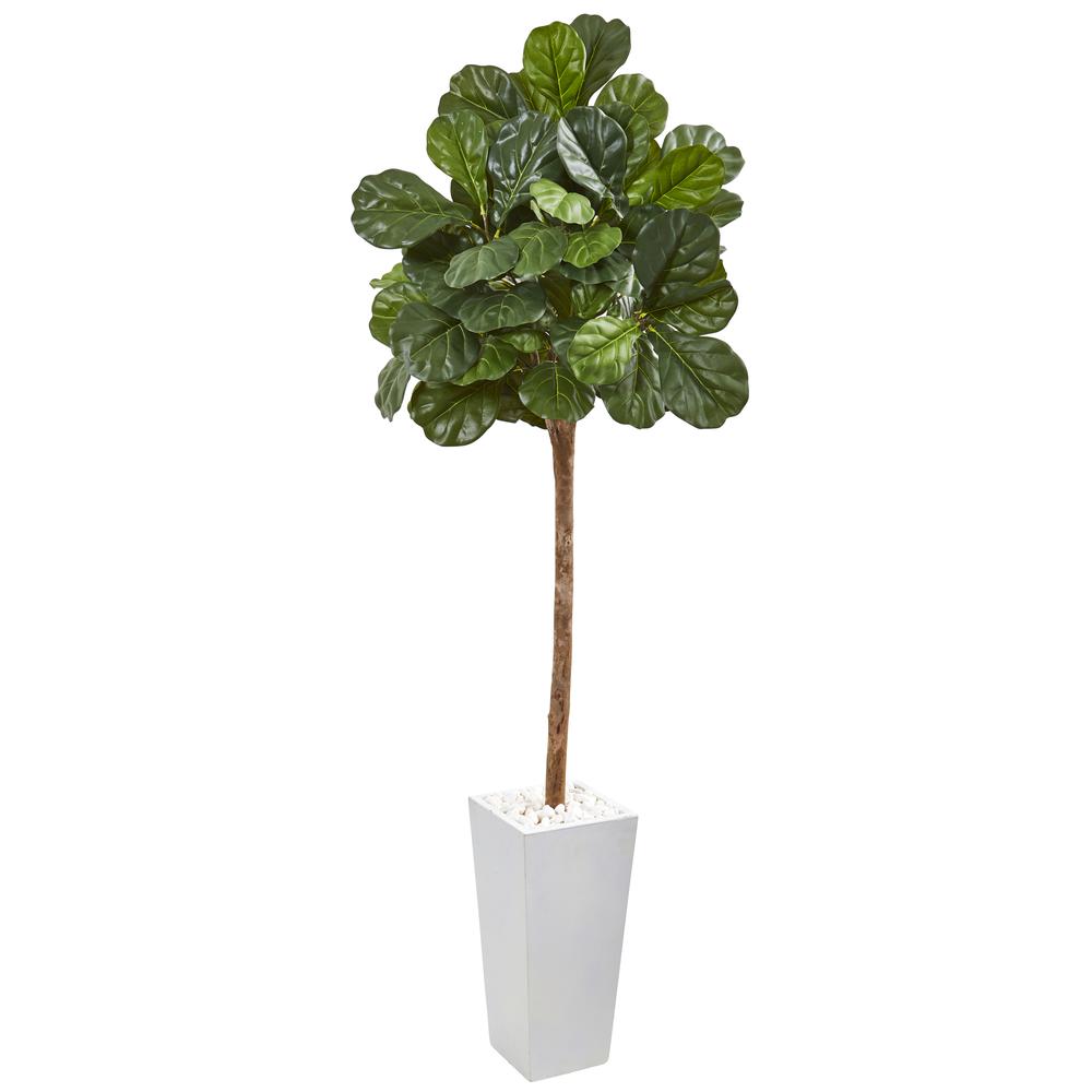 75in. Fiddle Leaf Fig Artificial Tree in White Planter. Picture 1