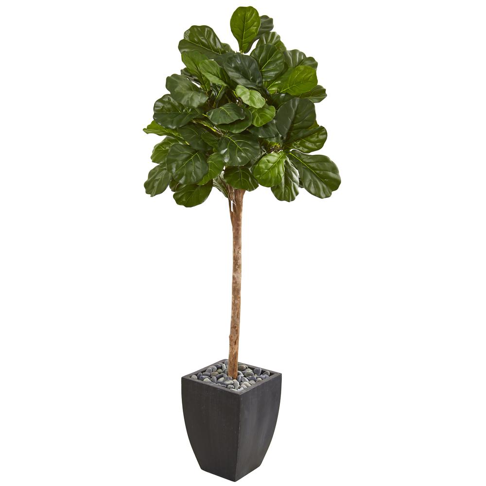 71in. Fiddle Leaf Fig Artificial Tree in Black Planter. Picture 1