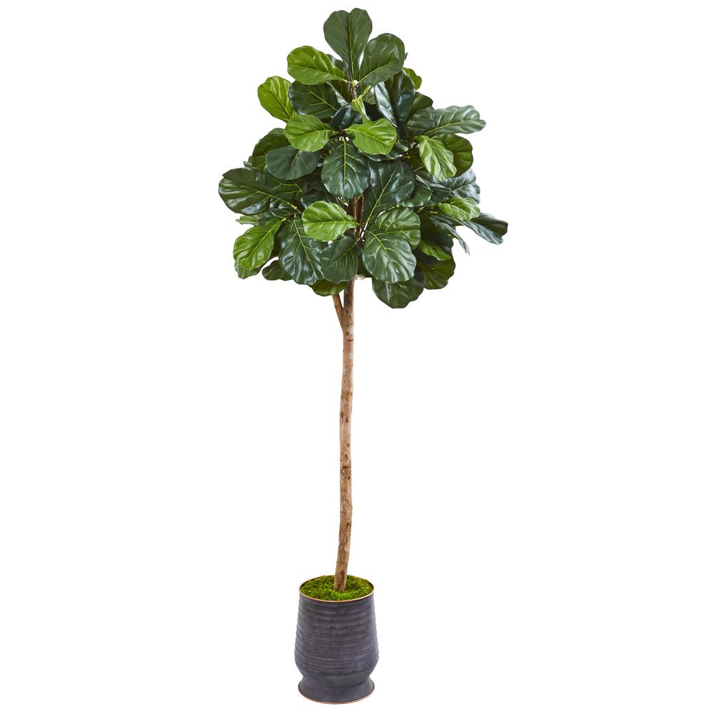 80in. Fiddle Leaf Fig Artificial tree in Ribbed Metal Planter. Picture 1