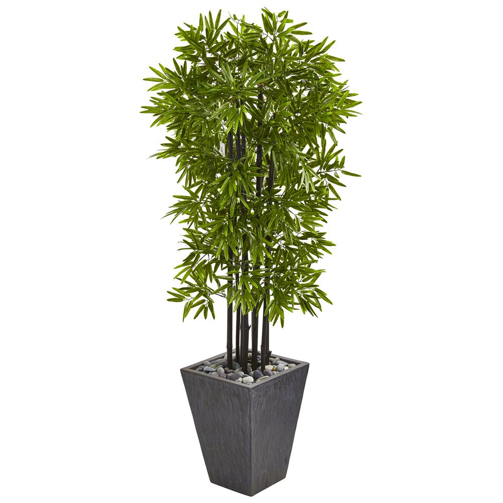 61in. Bamboo Artificial Tree with Black Trunks in Slate Planter UV Resistant (Indoor/Outdoor). Picture 1