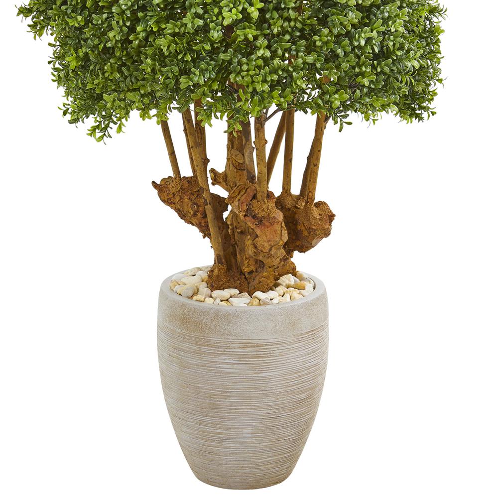 41in. Boxwood Artificial Topiary Tree in Sandstone Planter (Indoor/Outdoor). Picture 2