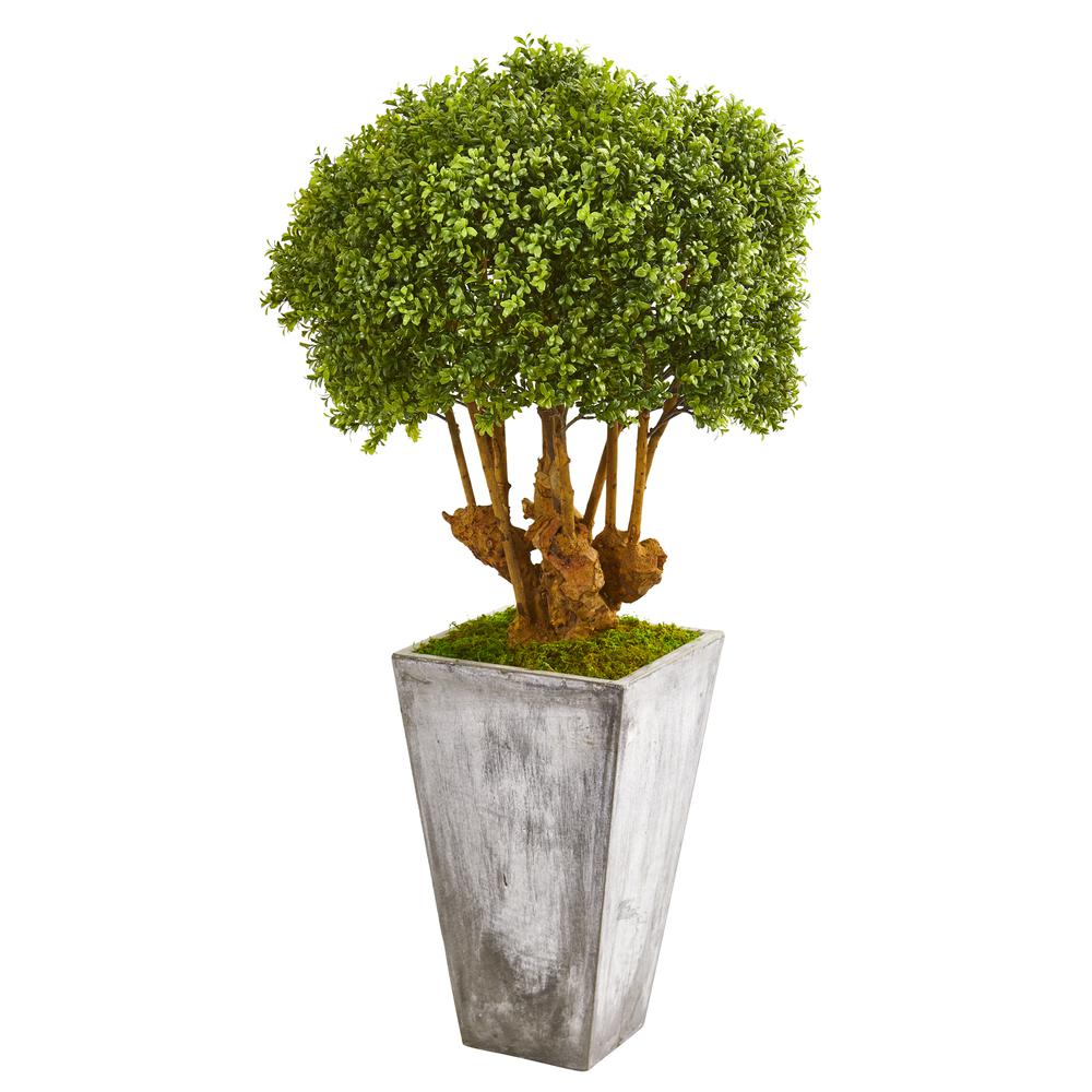 51in. Boxwood Artificial Topiary Tree in Cement Planter (Indoor/Outdoor). Picture 1
