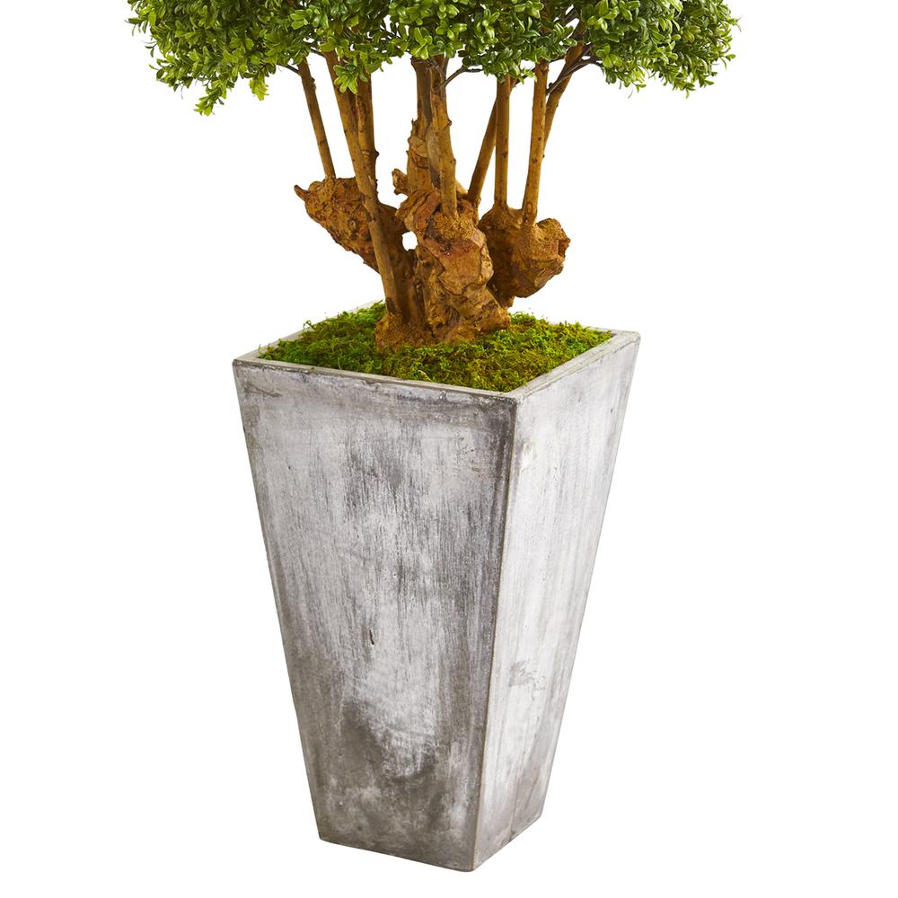 51in. Boxwood Artificial Topiary Tree in Cement Planter (Indoor/Outdoor). Picture 3