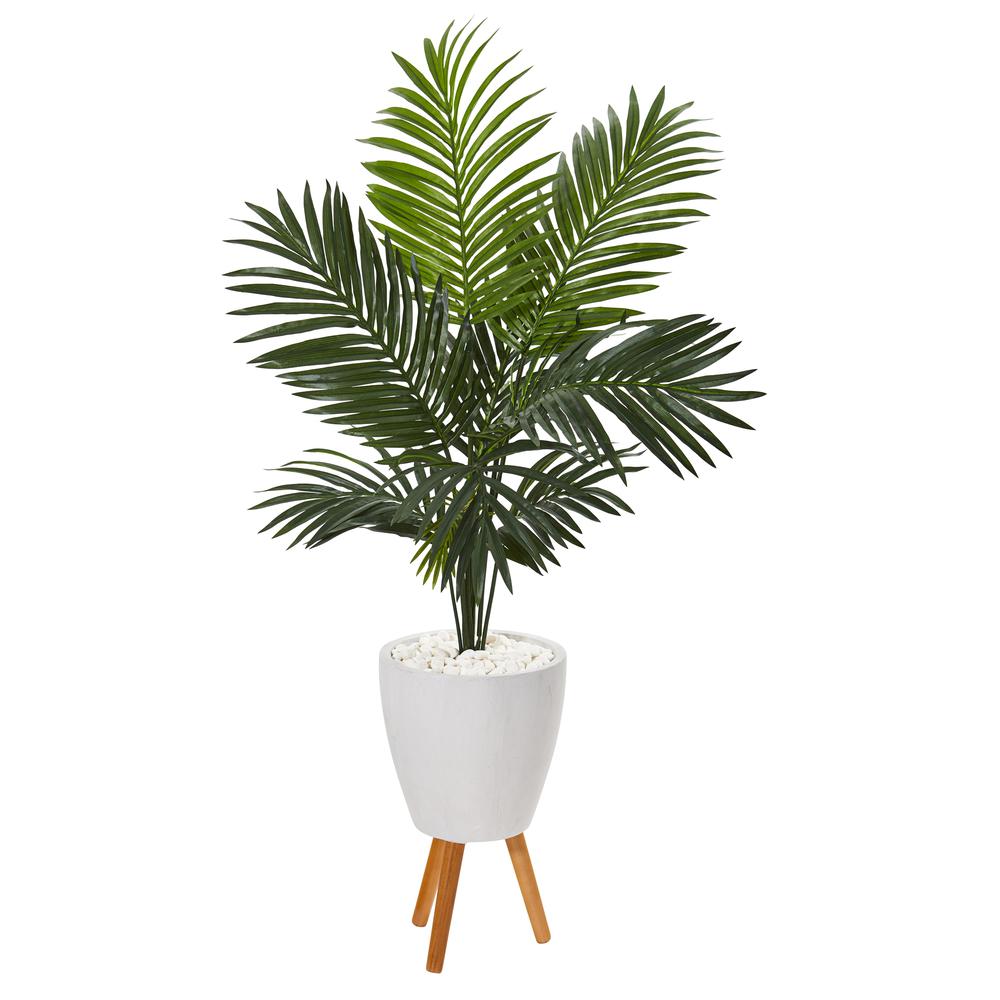 61in. Paradise Palm Artificial Tree in White Planter with Stand. Picture 1