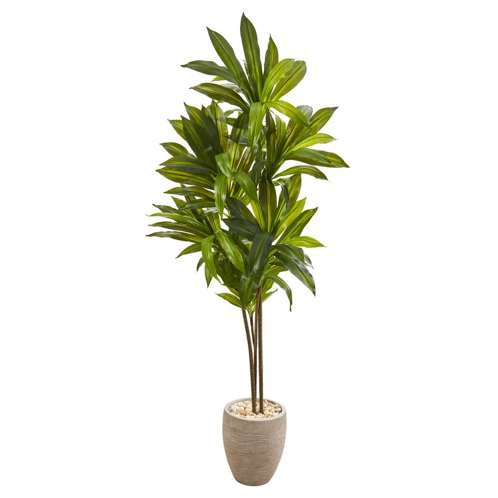 68in. Dracaena Artificial Plant in Sand Colored Planter (Real Touch). Picture 1