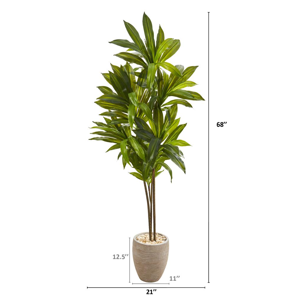 68in. Dracaena Artificial Plant in Sand Colored Planter (Real Touch). Picture 2