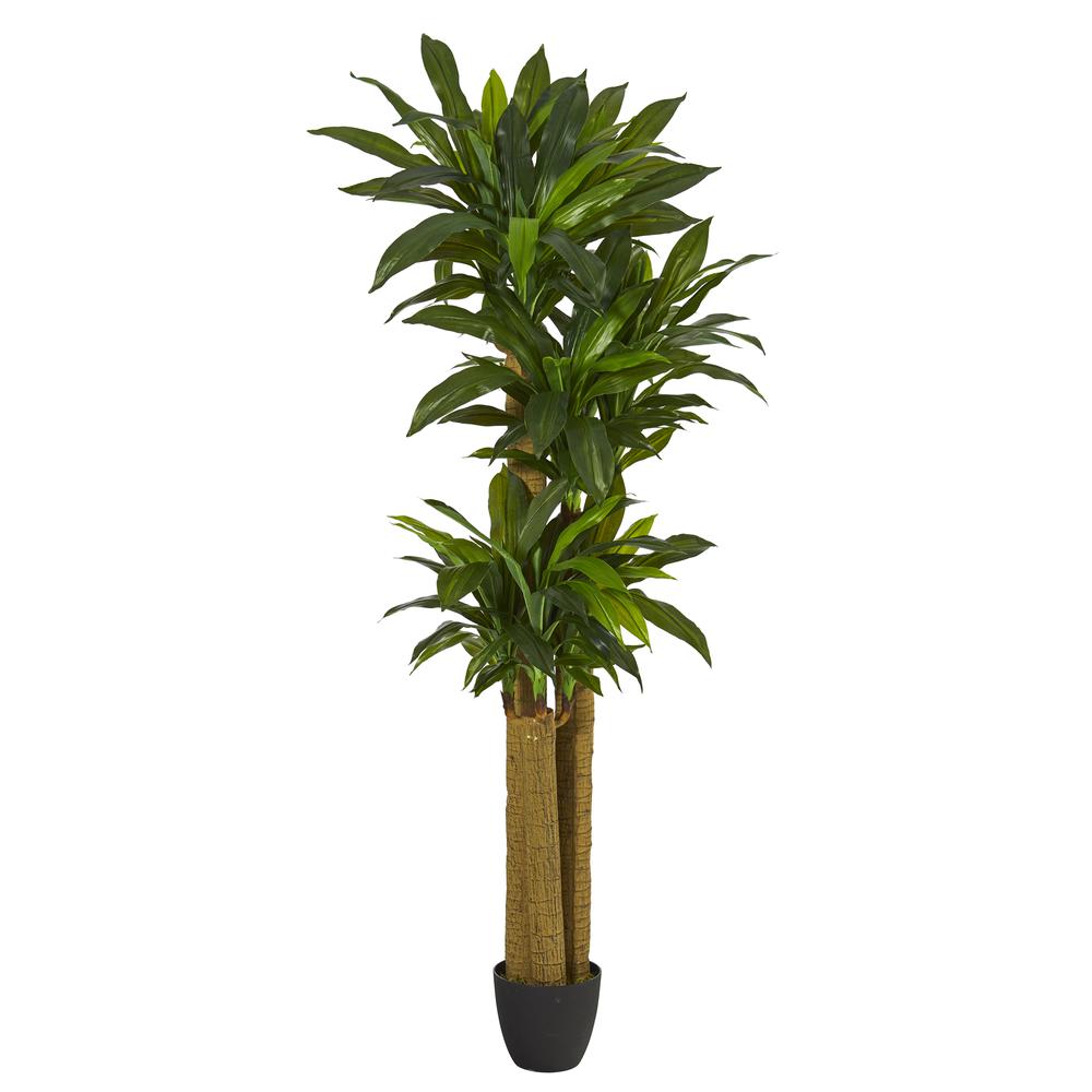 6ft. Corn Stalk Dracaena Artificial Plant (Real Touch). Picture 1