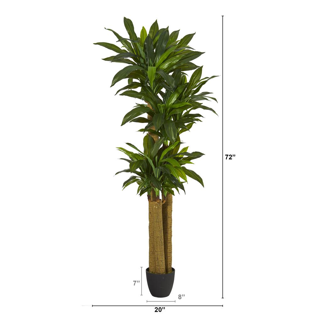6ft. Corn Stalk Dracaena Artificial Plant (Real Touch). Picture 4