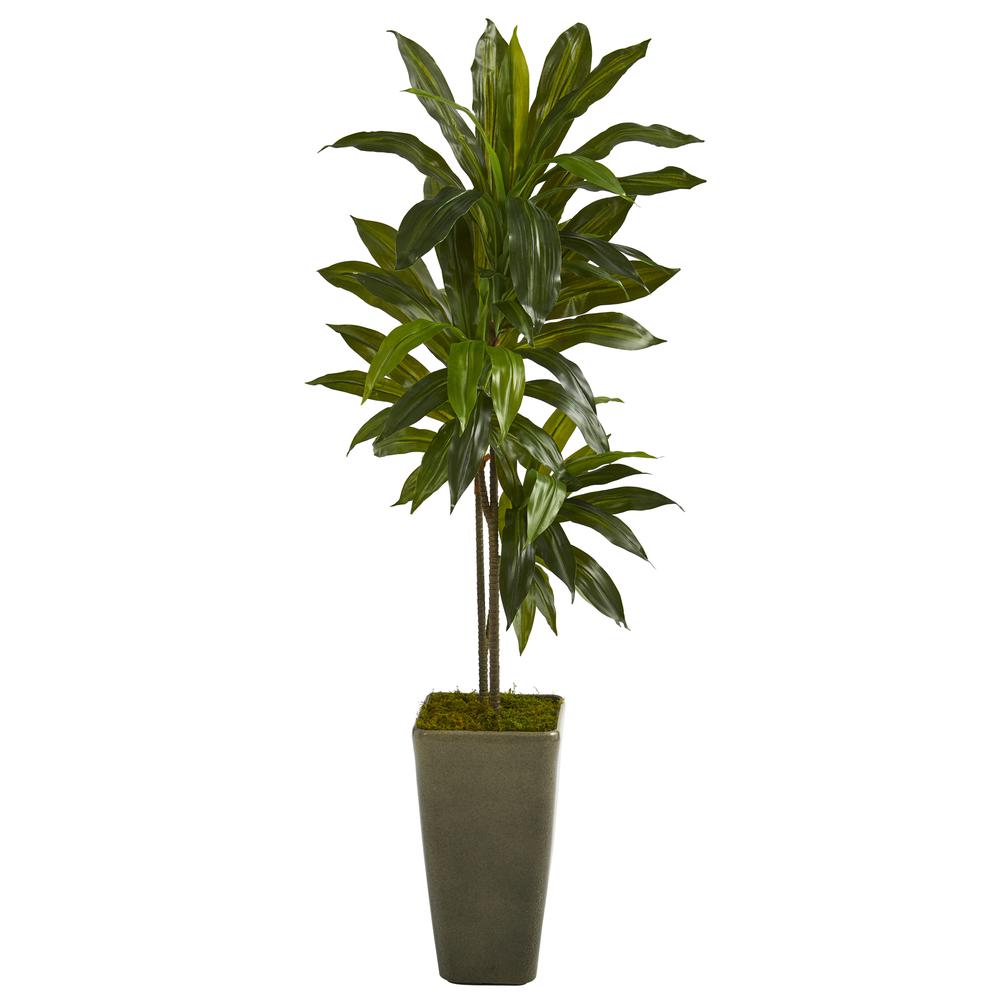 4.5ft. Dracaena Artificial Plant in Green Planter (Real Touch). Picture 1