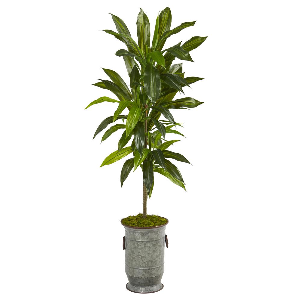 4ft. Dracaena Artificial Plant in Vintage Metal Planter (Real Touch). Picture 1