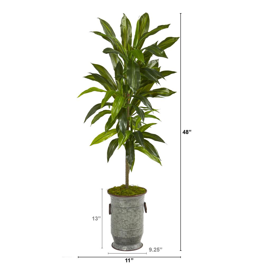 4ft. Dracaena Artificial Plant in Vintage Metal Planter (Real Touch). Picture 3