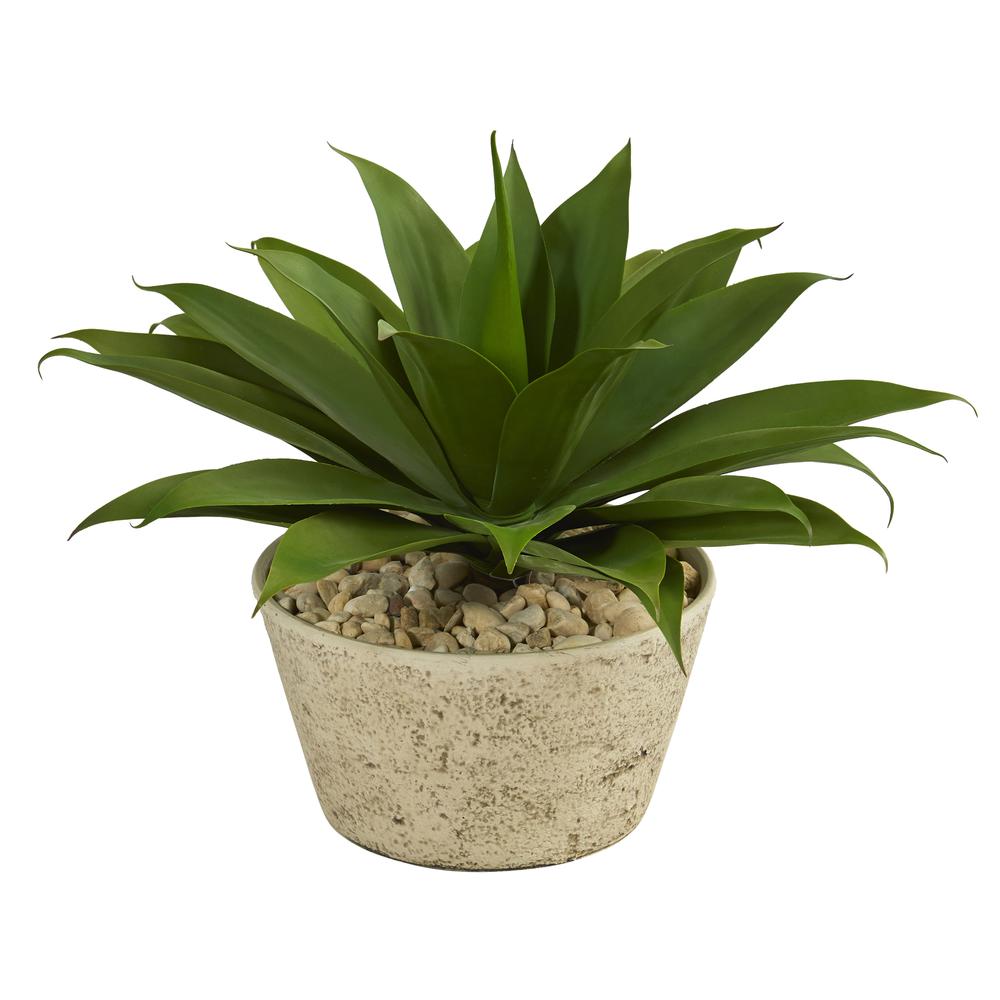 1.5ft. Agave Succulent Artificial Plant in White Planter. Picture 1