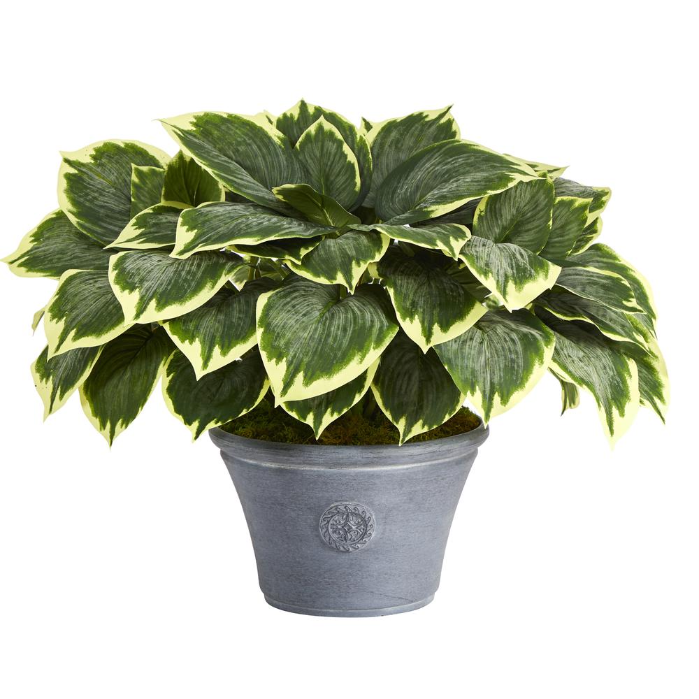 23in. Variegated Hosta Artificial Plant in Gray Planter. Picture 1