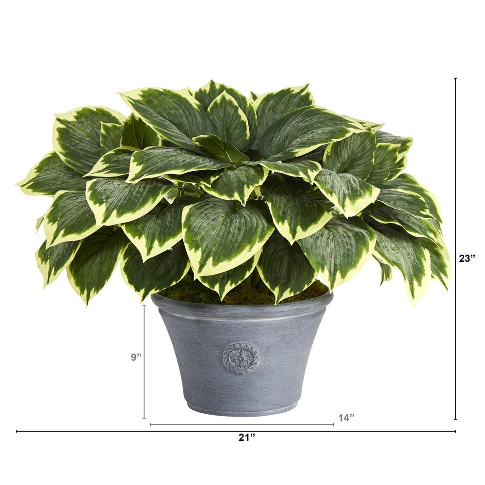 23in. Variegated Hosta Artificial Plant in Gray Planter. Picture 3