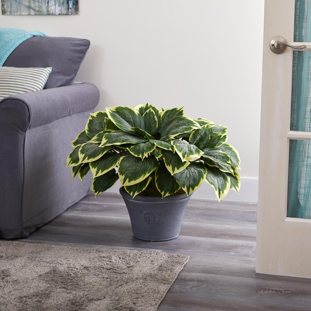 23in. Variegated Hosta Artificial Plant in Gray Planter. Picture 2