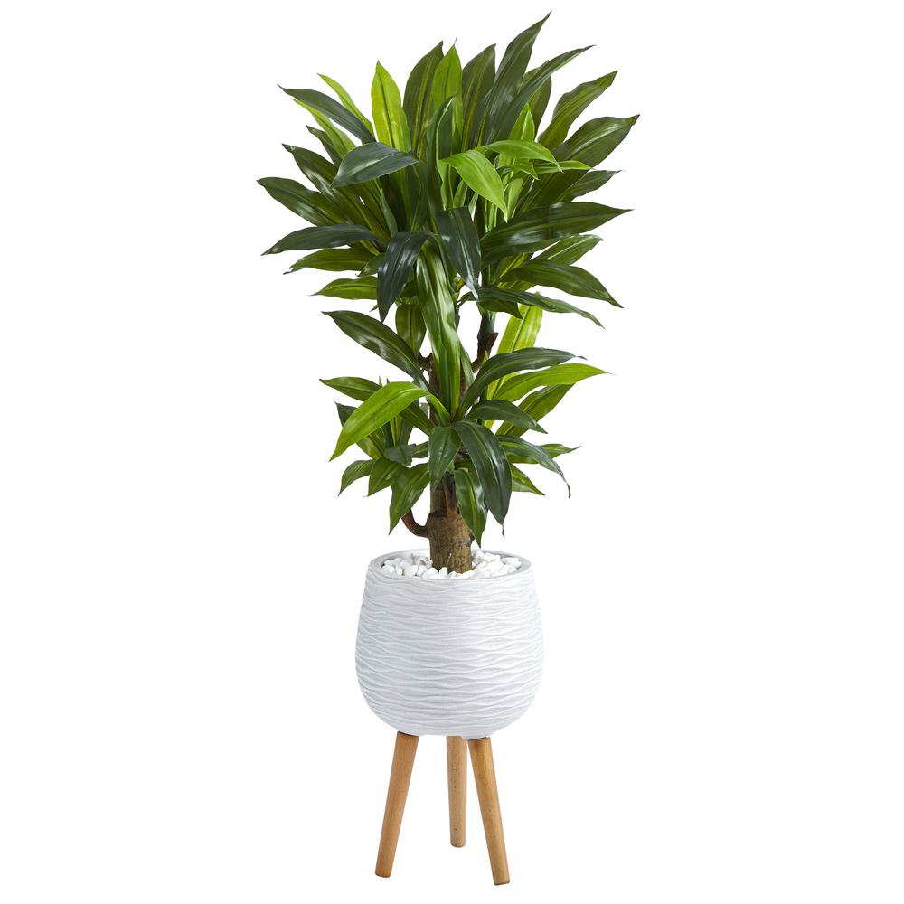 46in. Corn Stalk Dracaena Artificial Plant in White Planter with Stand (Real Touch). Picture 1