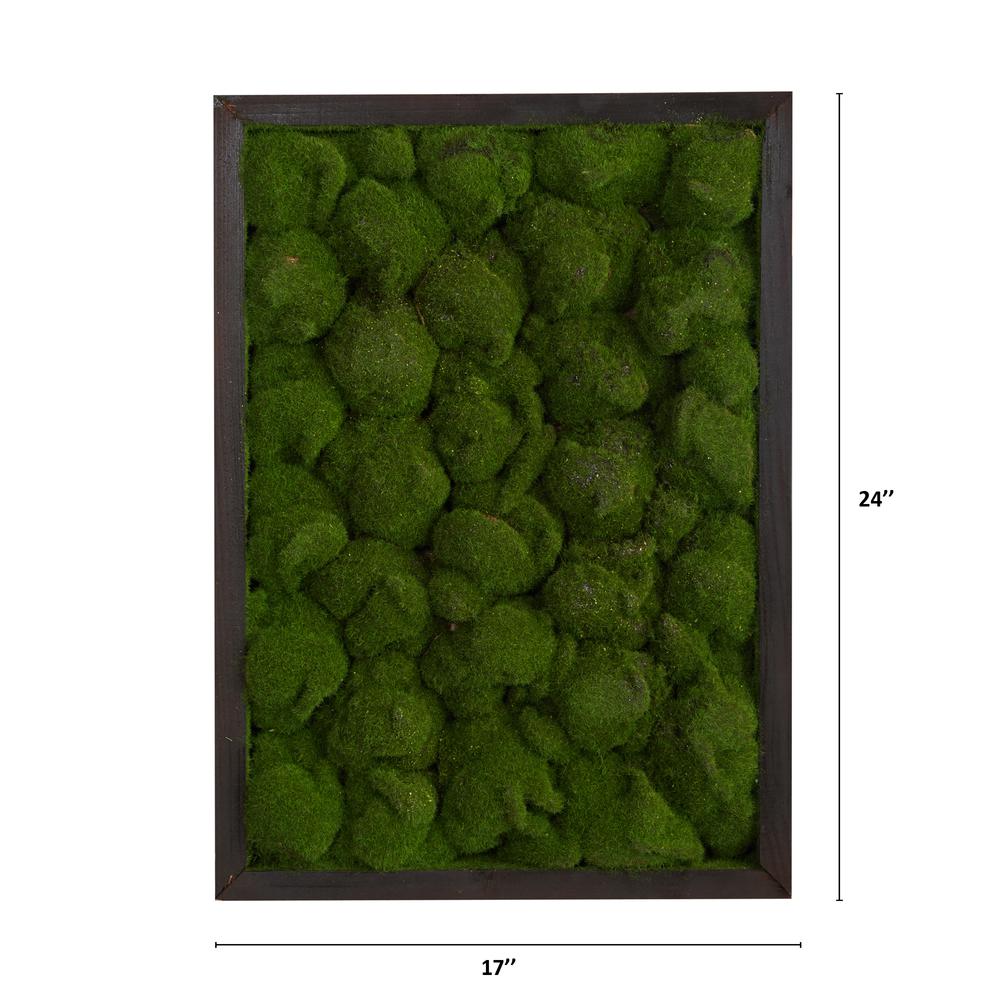 17in. X 24in. Artificial Moss Hanging Frame. Picture 2