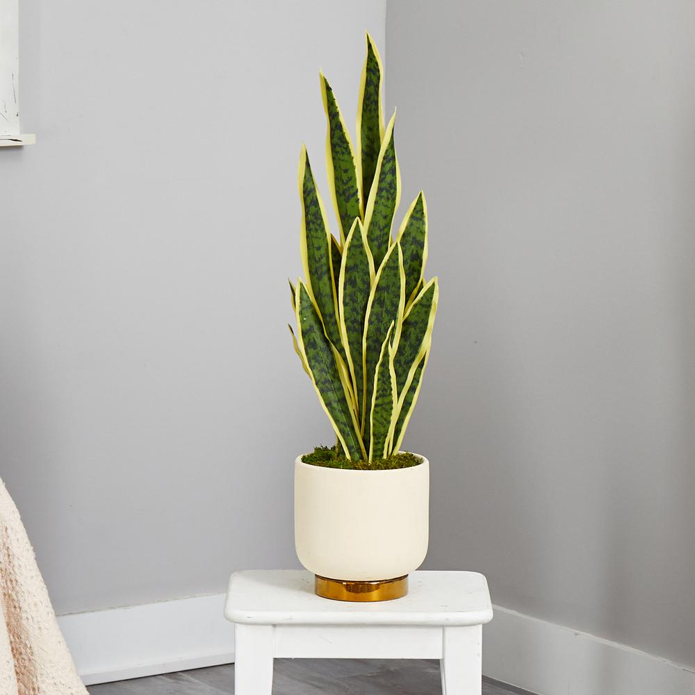 3ft. Sansevieria Artificial Plant in Cream Planter with Gold Base. Picture 3