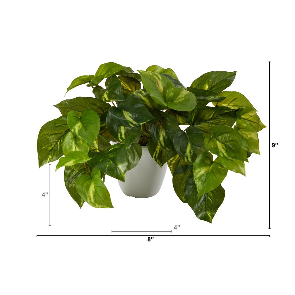9in. Pothos Artificial Plant in White Planter (Real Touch),Green. Picture 2