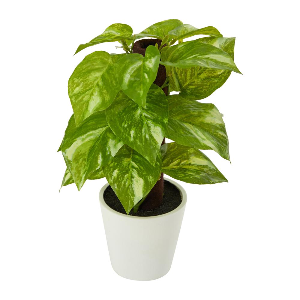 9in. Pothos Artificial Plant in White Planter (Real Touch), Green. Picture 1