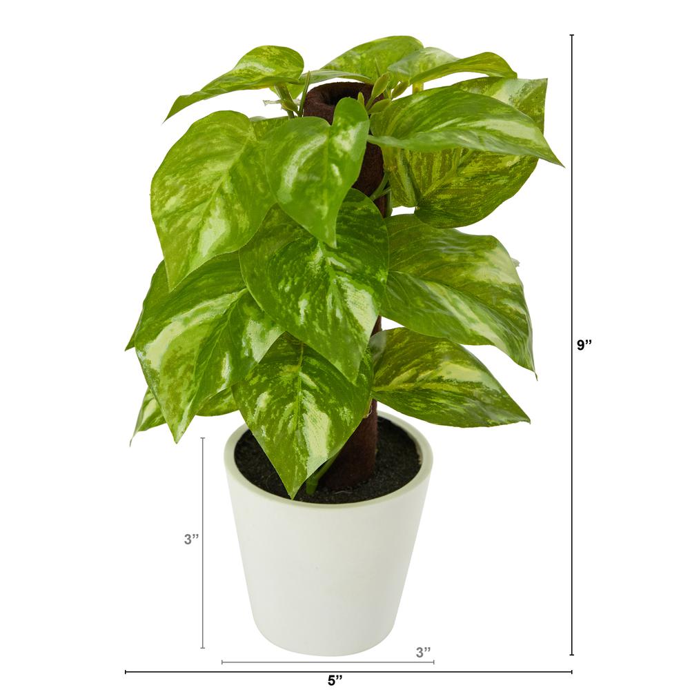 9in. Pothos Artificial Plant in White Planter (Real Touch), Green. Picture 3
