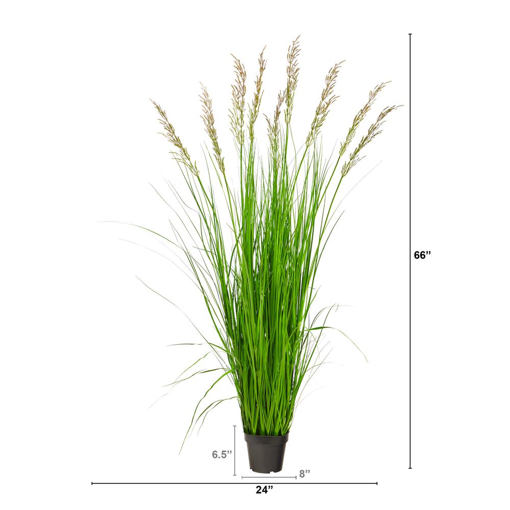5.5’ Plum Grass Artificial Plant. Picture 2