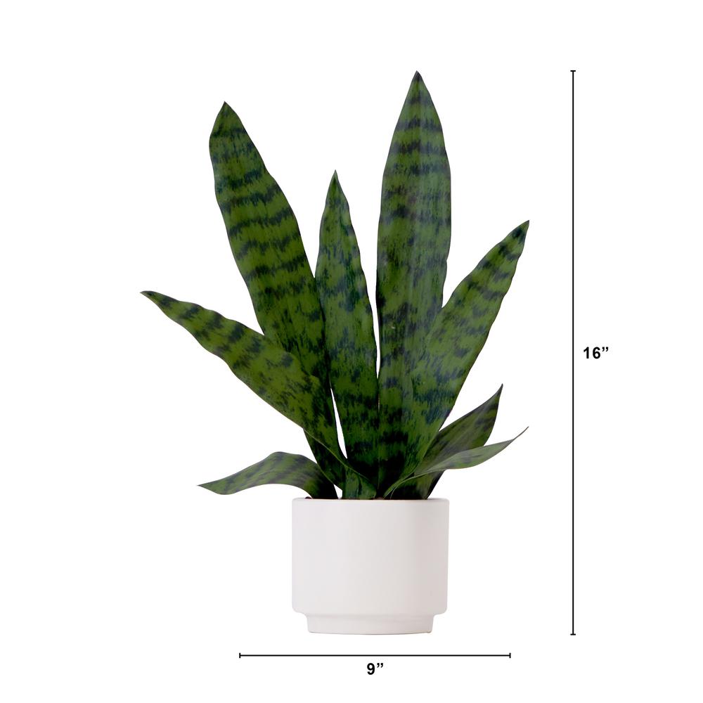 16in. Artificial Sansevieria Snake Plant with Decorative Planter. Picture 2