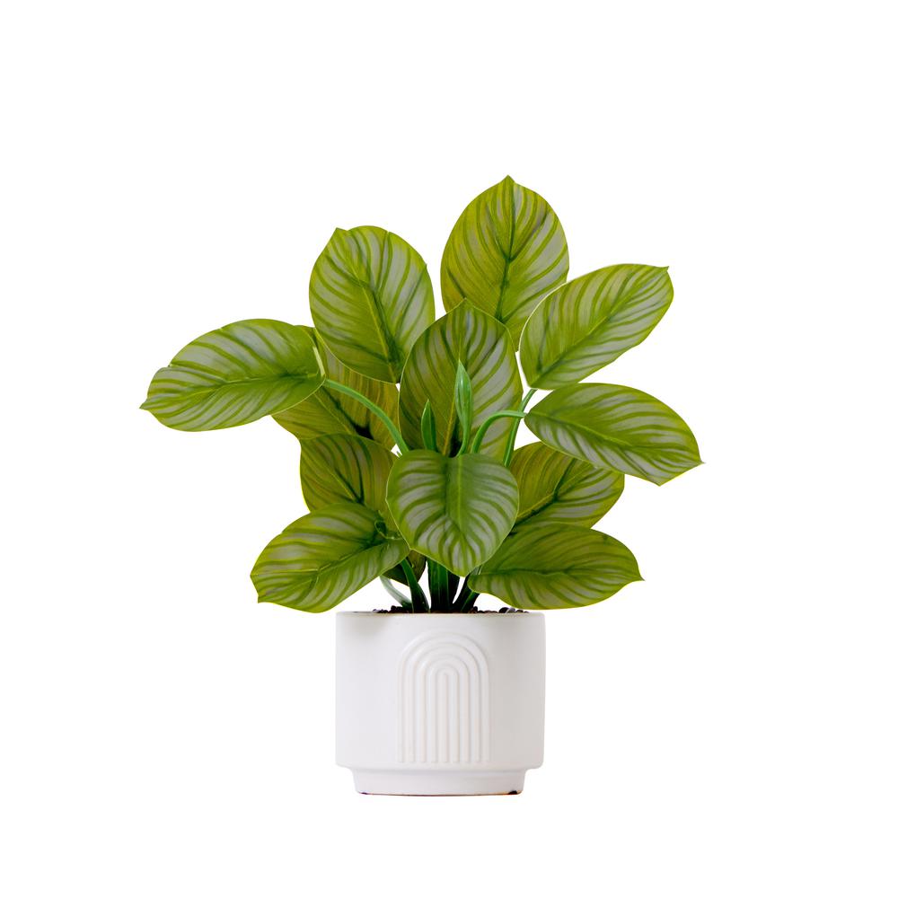 12in. Artificial Calathea Plant with Decorative Planter. Picture 1