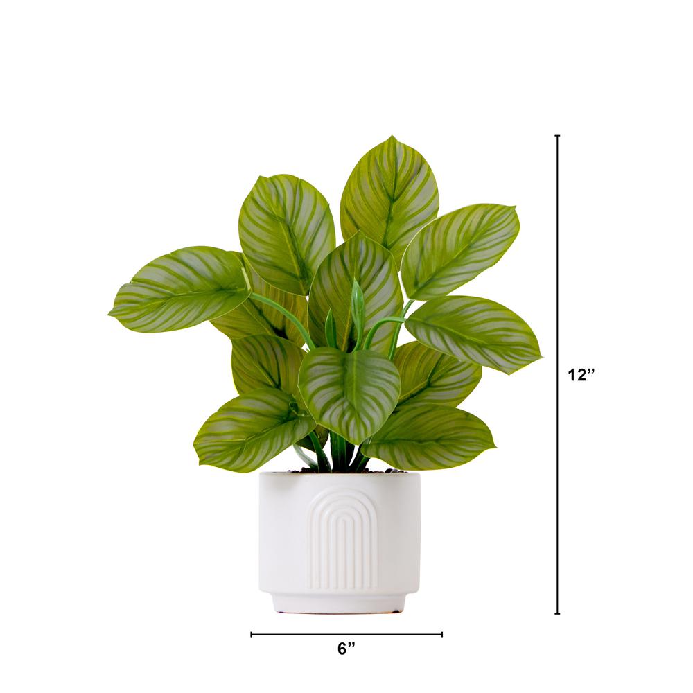 12in. Artificial Calathea Plant with Decorative Planter. Picture 2