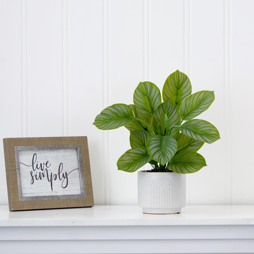 12in. Artificial Calathea Plant with Decorative Planter. Picture 3