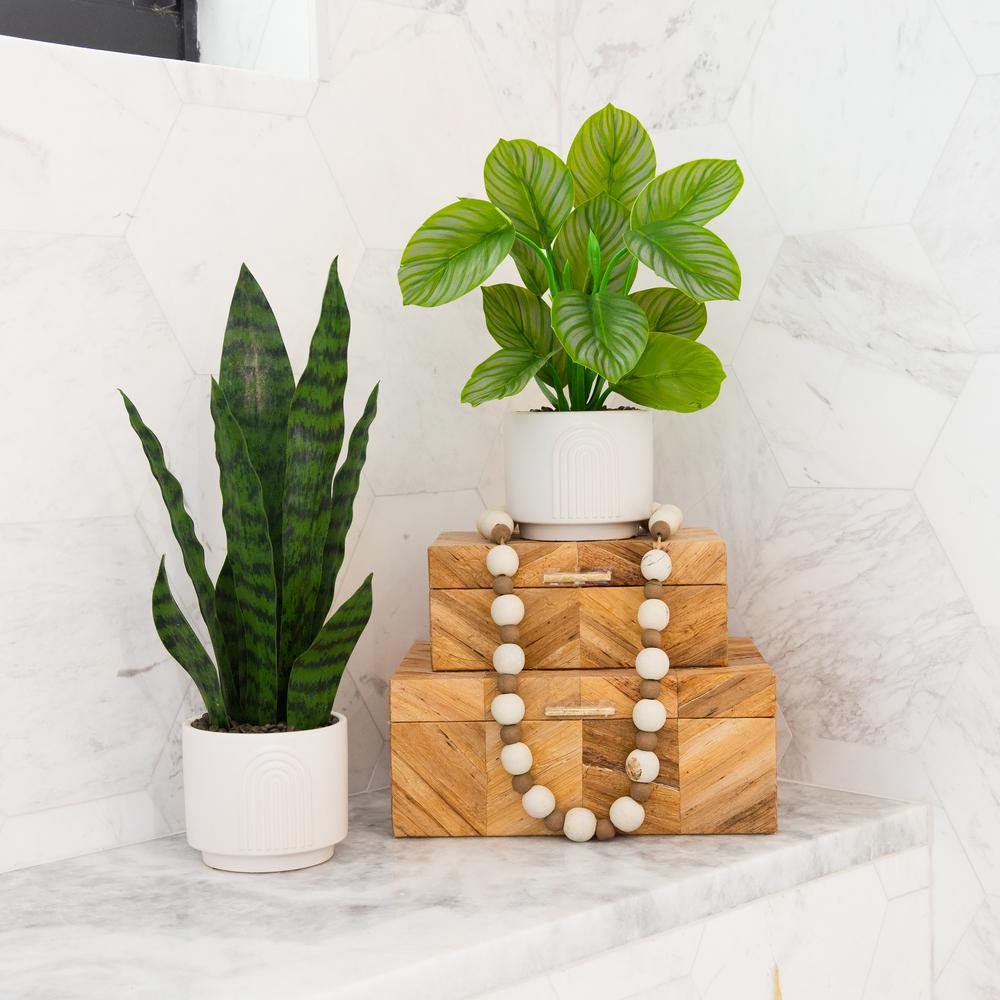 12in. Artificial Calathea Plant with Decorative Planter. Picture 5