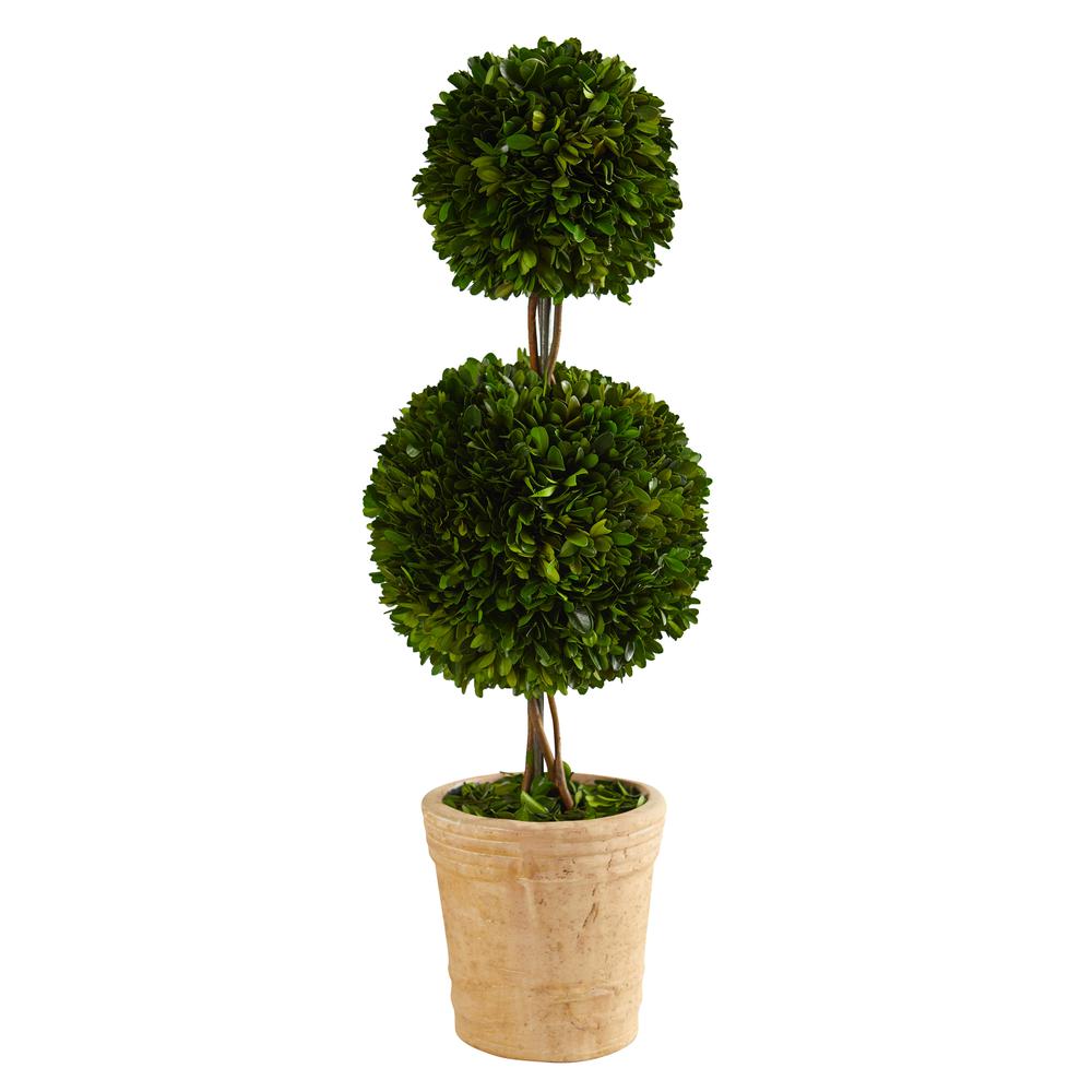 2.5ft. Preserved Boxwood Double Ball Topiary Tree in Decorative Planter. Picture 1