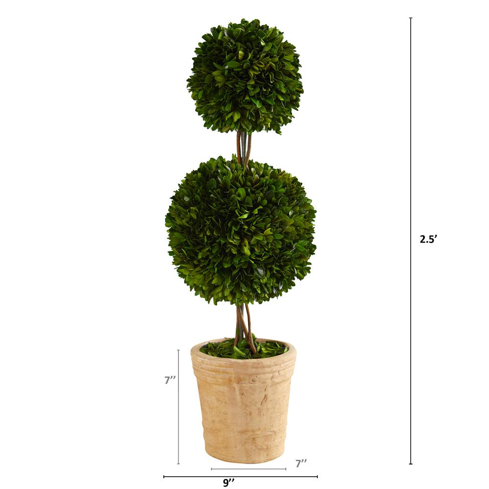 2.5ft. Preserved Boxwood Double Ball Topiary Tree in Decorative Planter. Picture 3