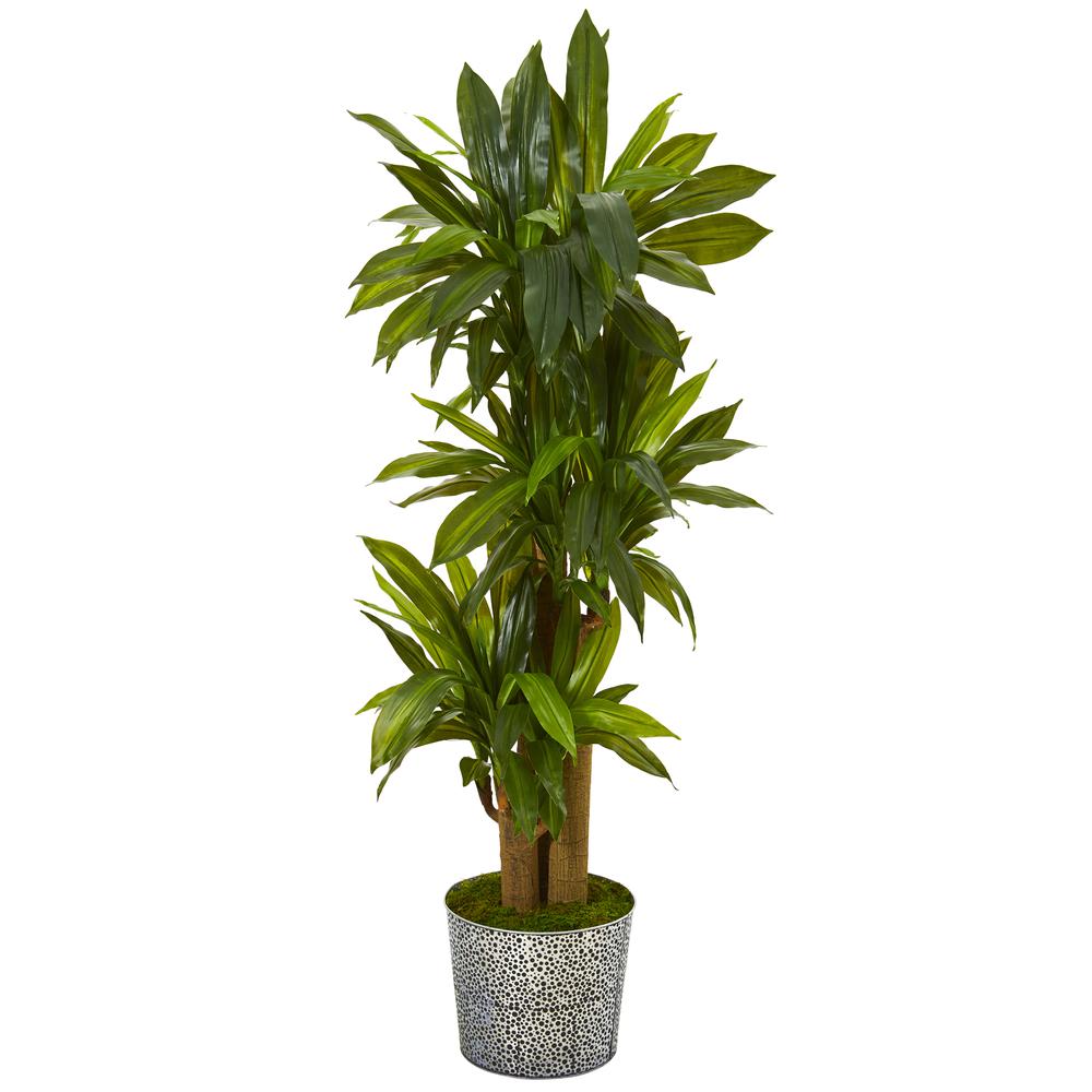 58in. Corn Stalk Dracaena Artificial Plant in Black Embossed Tin Planter (Real Touch). Picture 1