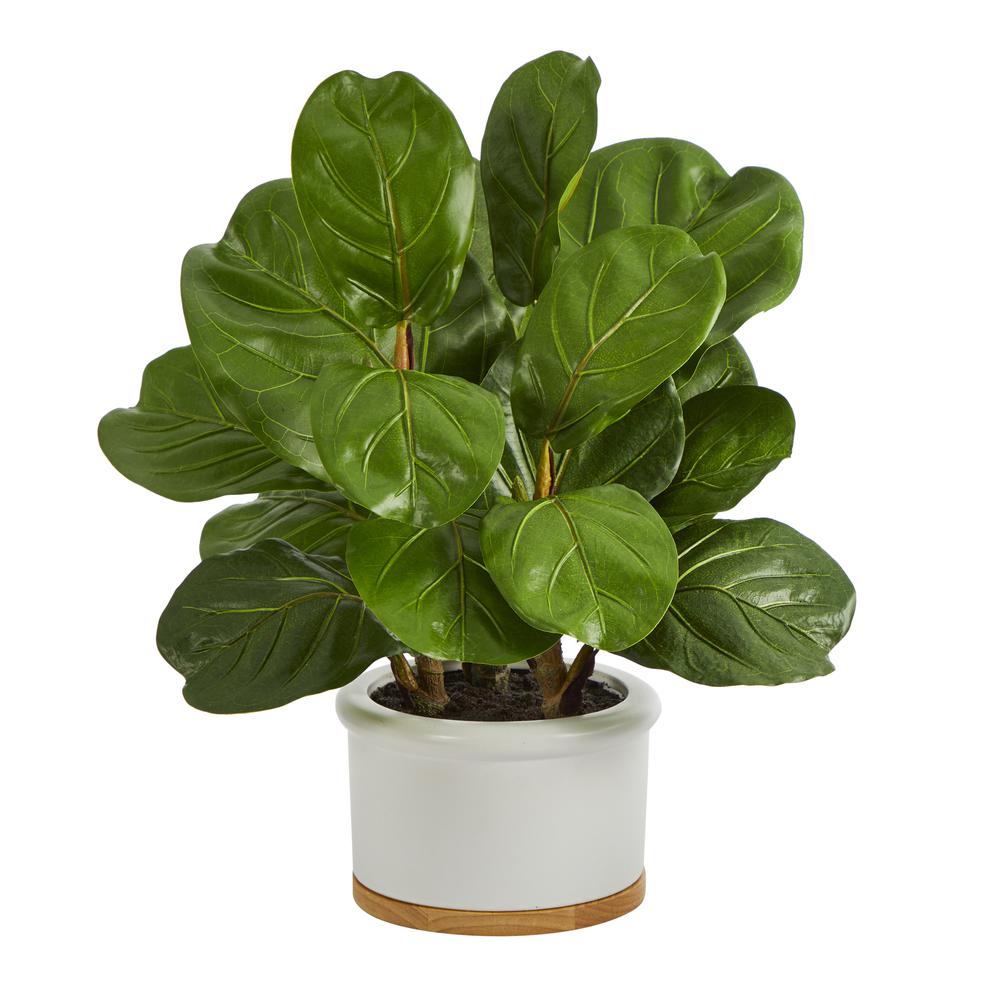 15in. Fiddle Leaf Artificial Tree in White Planter. Picture 1