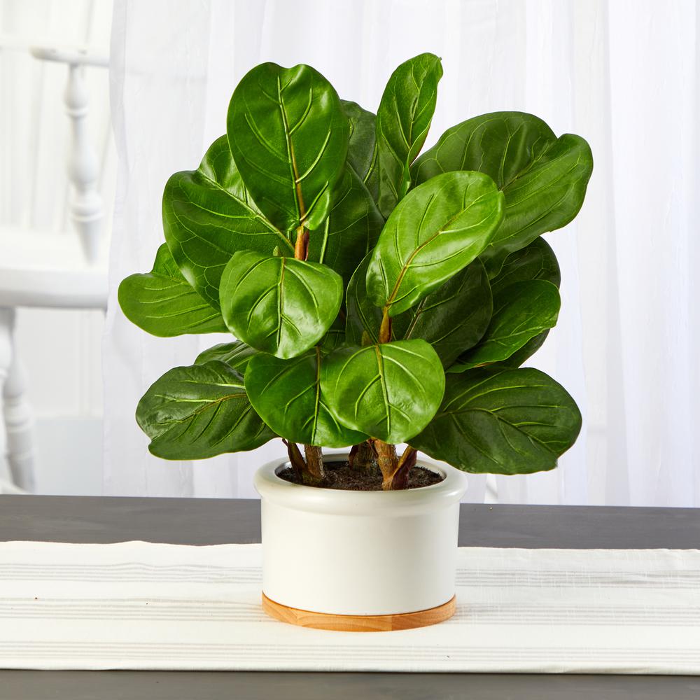 15in. Fiddle Leaf Artificial Tree in White Planter. Picture 2