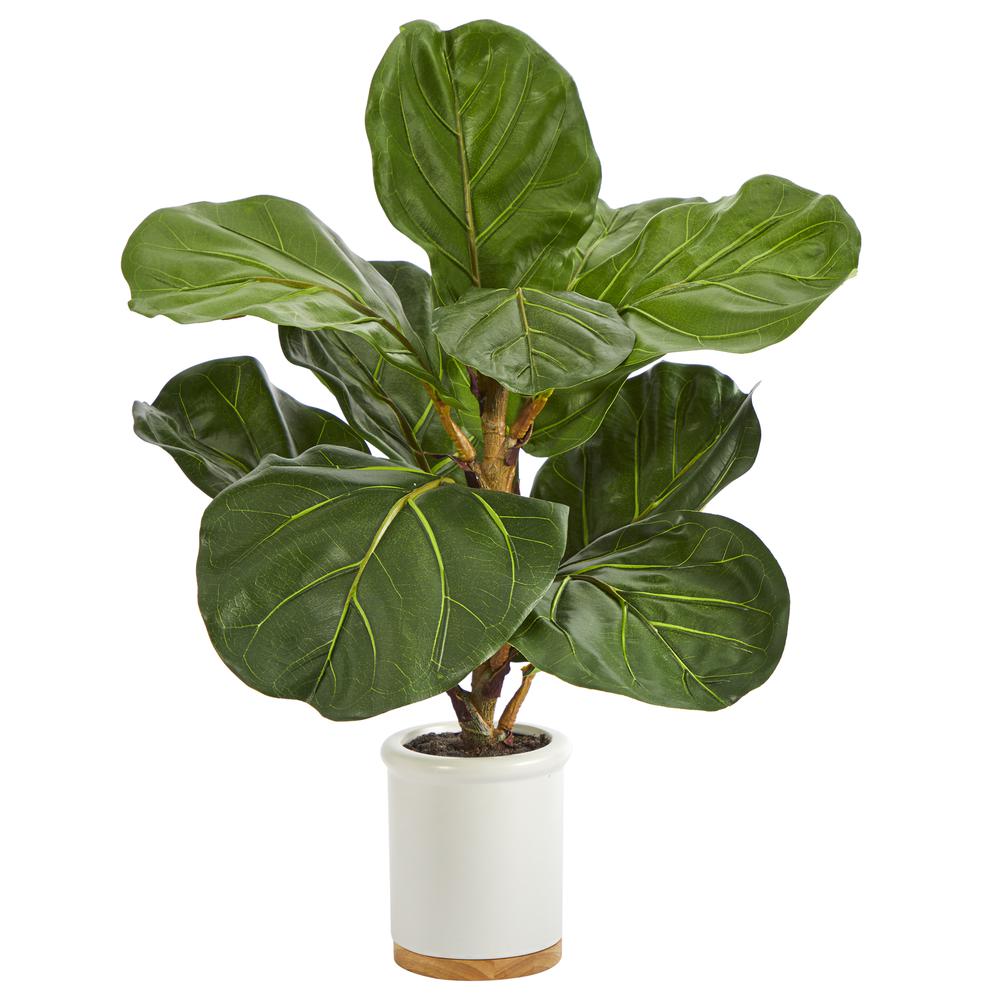 21in. Fiddle Leaf Artificial Tree in White Ceramic Planter. The main picture.