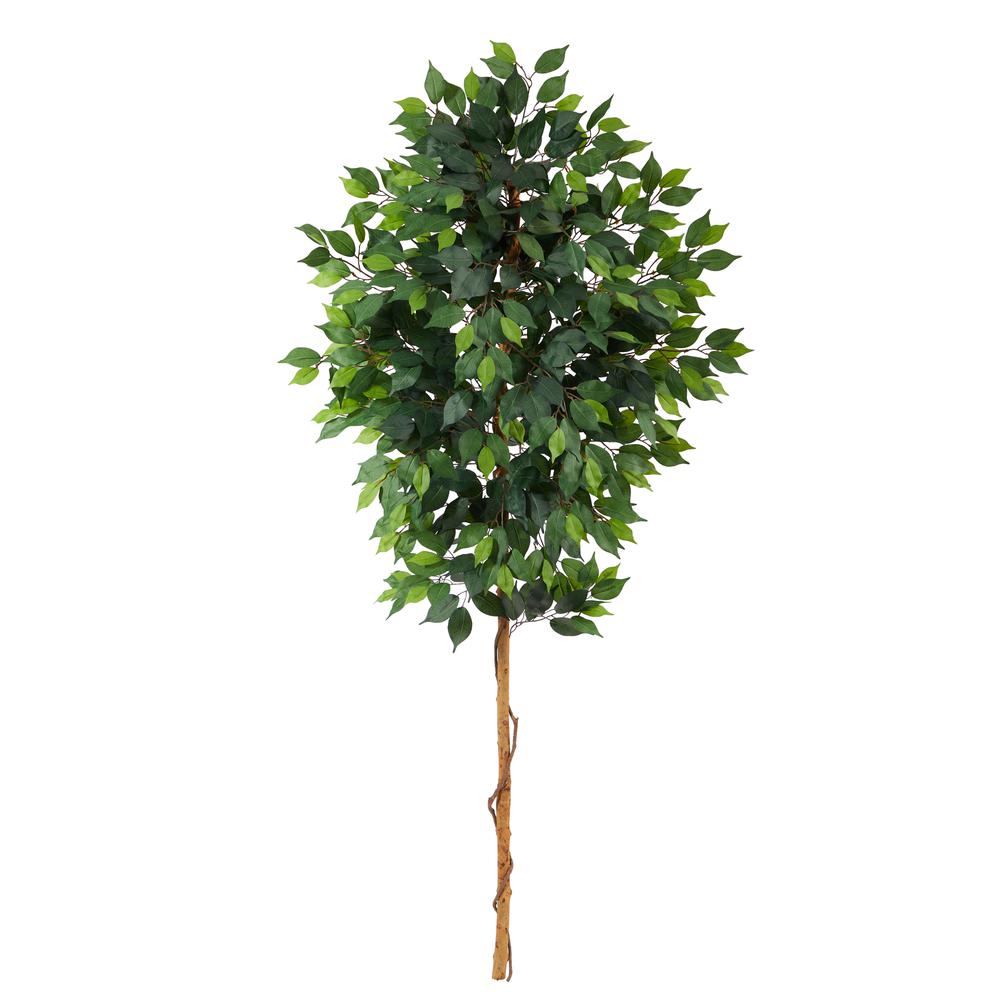 6’ Ficus Artificial Tree (No Pot). Picture 1