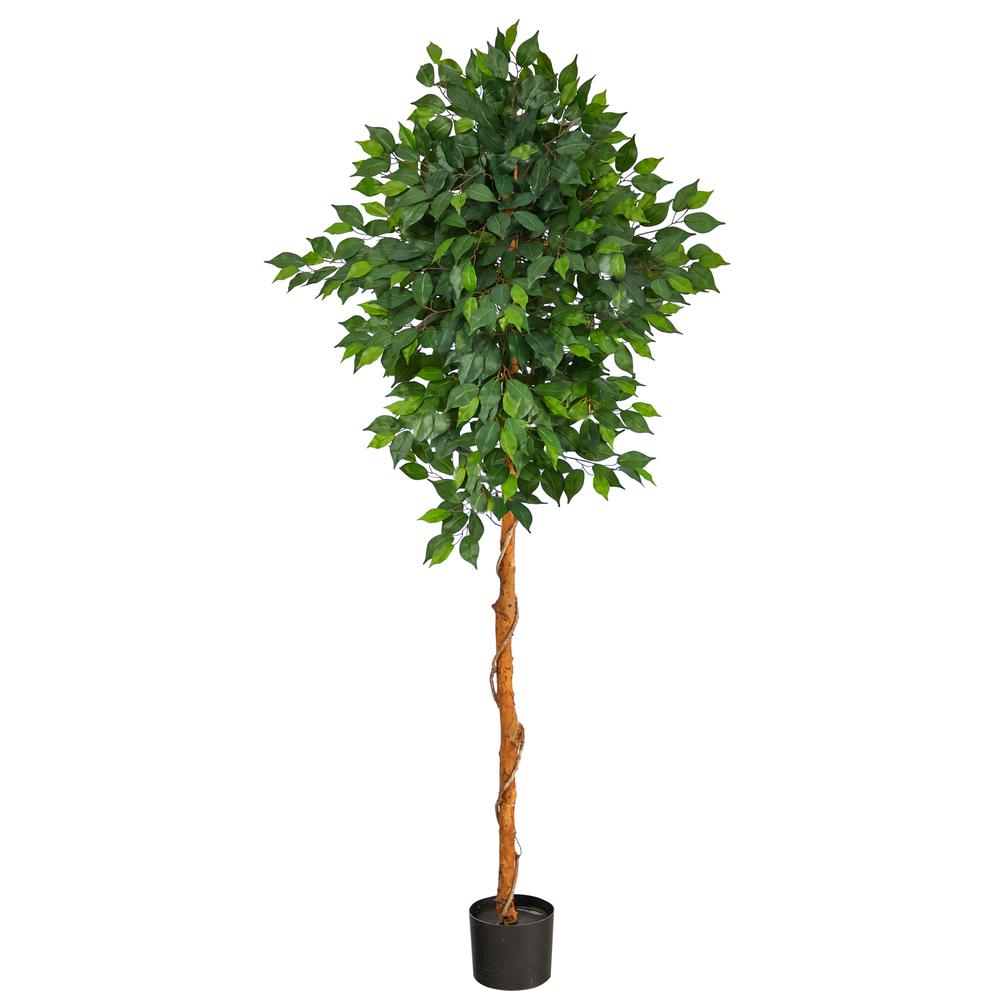 6ft. Ficus Artificial Tree. Picture 1