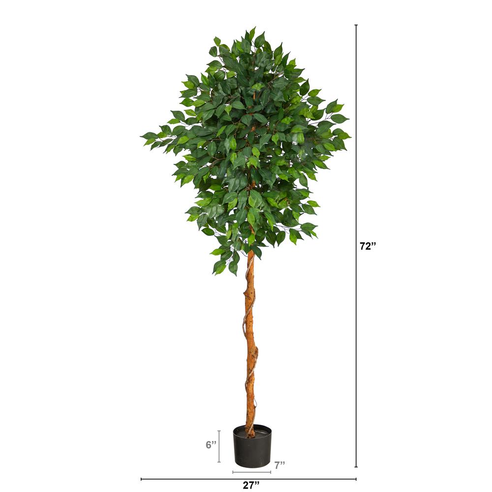 6ft. Ficus Artificial Tree. Picture 3