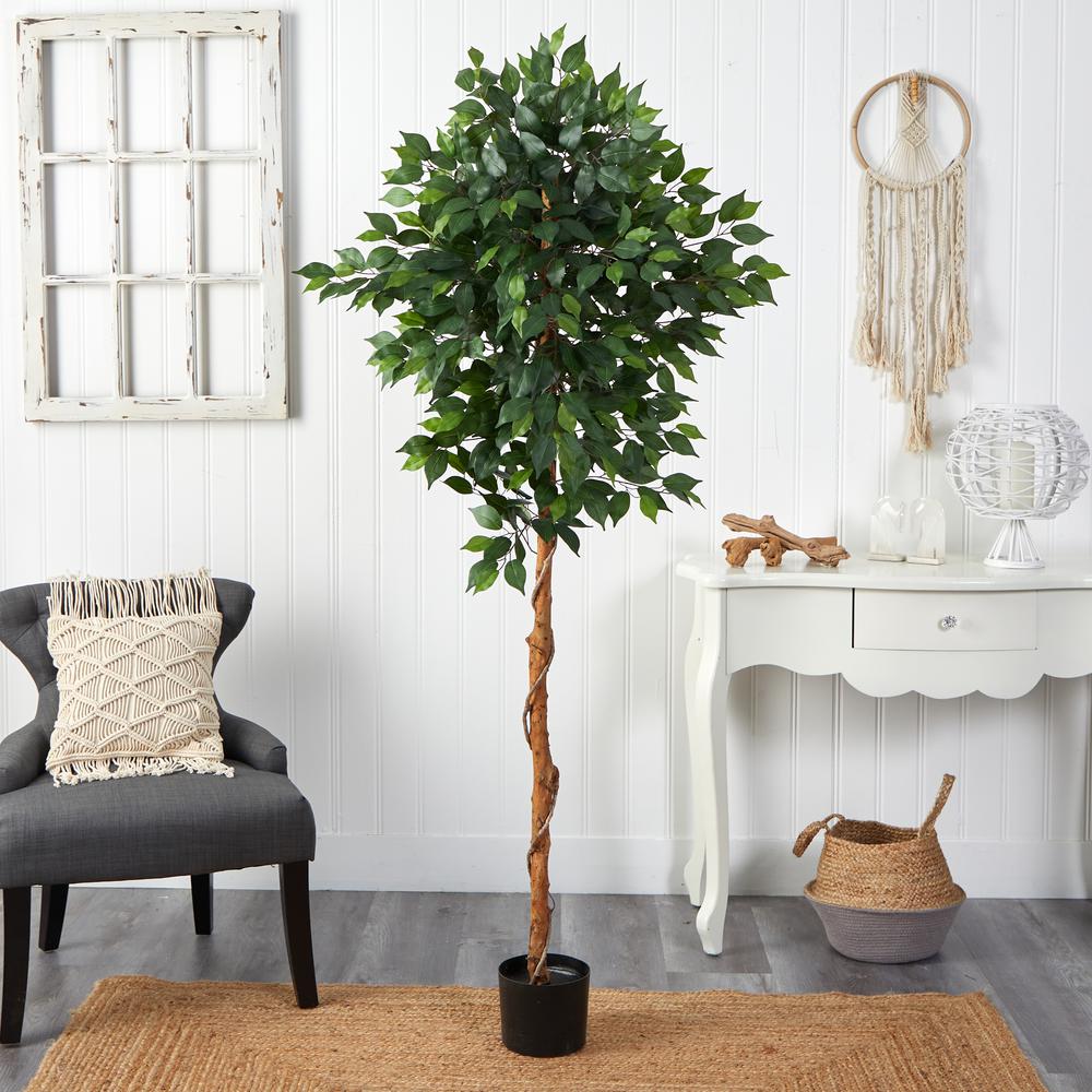 6ft. Ficus Artificial Tree. Picture 2