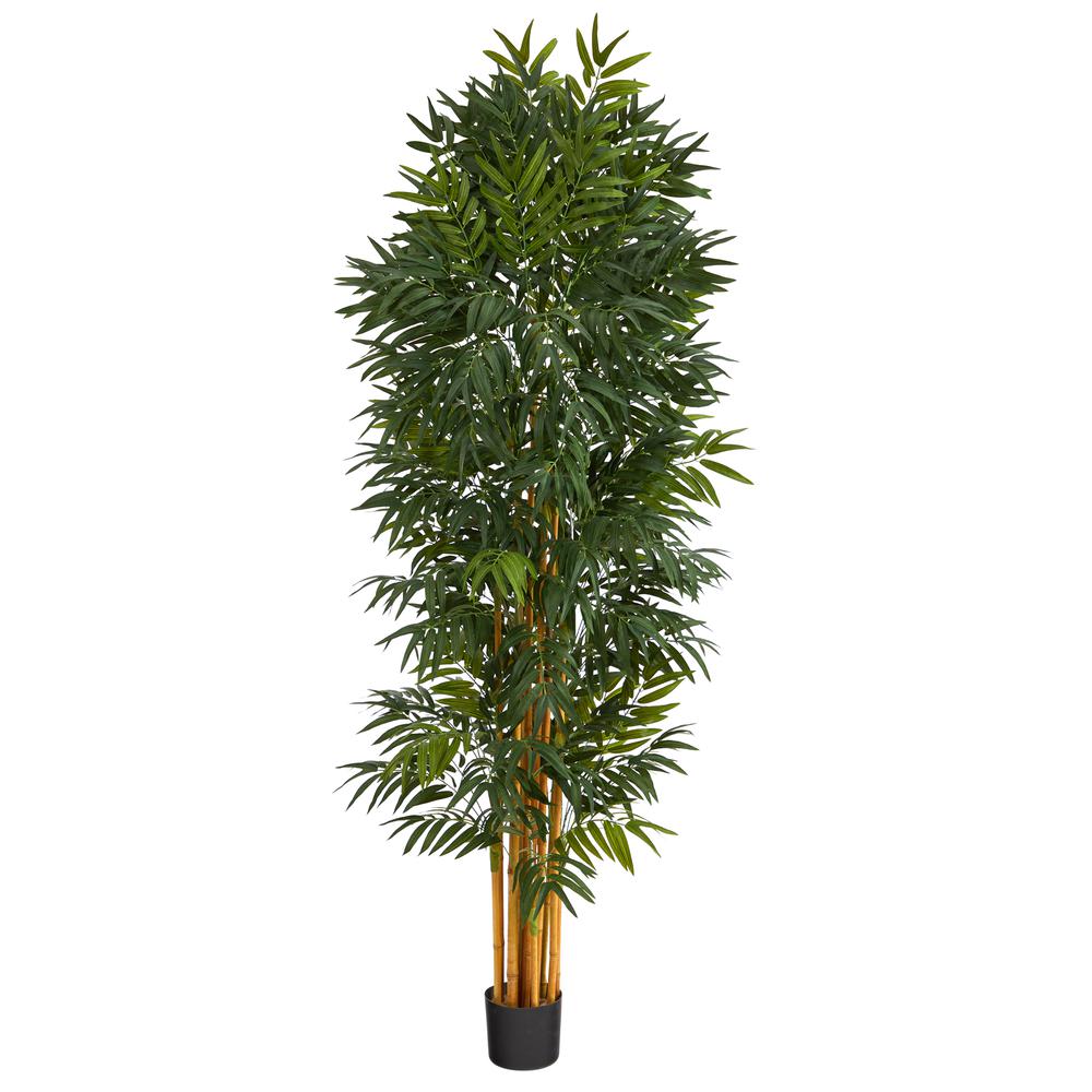 6.5ft. Phoenix Palm Artificial tree with Natural Trunk. Picture 1